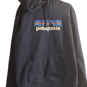 Patagonia Men's Navy Hoodie